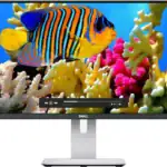 Colorful tropical fish swimming among vibrant coral reefs, underwater scenery, marine life, ocean ecology, nature, biodiversity, marine habitat, aquatic environment, DestockAfric.