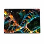 DELL Latutude 5420 i5-11th 8/256 SSD – Image 2
